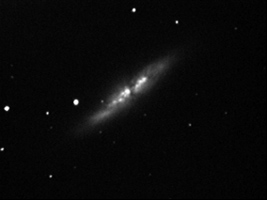 Livebild M82