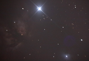 Brennender Busch NGC2024